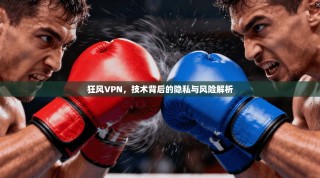 狂风VPN，技术背后的隐私与风险解析