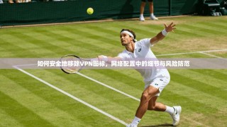 如何安全地移除VPN图标，网络配置中的细节与风险防范