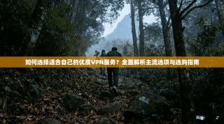 如何选择适合自己的优质VPN服务？全面解析主流选项与选购指南