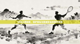 VPN上网加密，保护隐私与数据安全的数字盾牌
