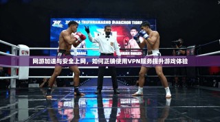 网游加速与安全上网，如何正确使用VPN服务提升游戏体验