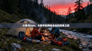 小高与Vpn，从新手到网络自由的探索之旅