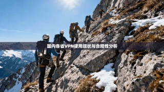 国内各省VPN使用现状与合规性分析