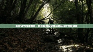 多重VPN技术解析，提升网络安全性与隐私保护的新趋势