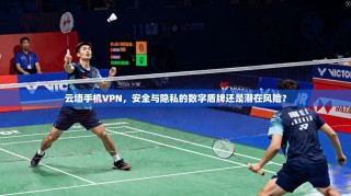 云墙手机VPN，安全与隐私的数字盾牌还是潜在风险？