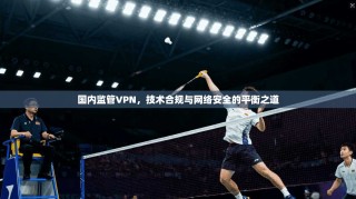 国内监管VPN，技术合规与网络安全的平衡之道
