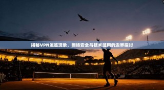 揭秘VPN逗鲨现象，网络安全与技术滥用的边界探讨