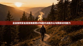 企业如何安全高效地使用VPN提升远程办公与网络访问能力