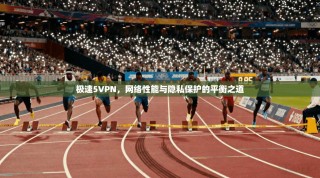 极速5VPN，网络性能与隐私保护的平衡之道