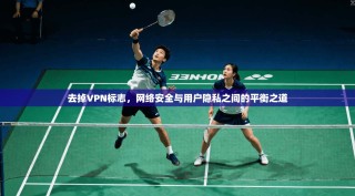 去掉VPN标志，网络安全与用户隐私之间的平衡之道