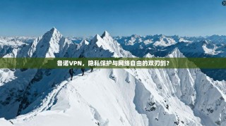 鲁诺VPN，隐私保护与网络自由的双刃剑？