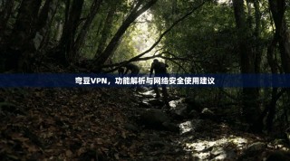 弯豆VPN，功能解析与网络安全使用建议