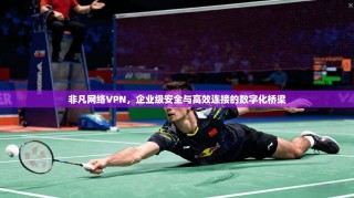 非凡网络VPN，企业级安全与高效连接的数字化桥梁