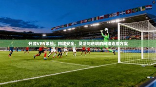 开源VPN系统，构建安全、灵活与透明的网络连接方案