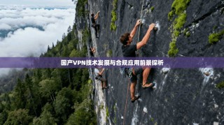 国产VPN技术发展与合规应用前景探析
