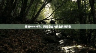 揭秘VPN神马，网络自由与安全的双刃剑