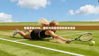 免流手机VPN，便利与风险并存的技术选择