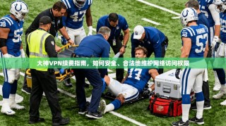 大神VPN续费指南，如何安全、合法地维护网络访问权限