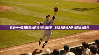 动态VPN免费服务的真相与风险解析，别让免费成为网络安全的陷阱