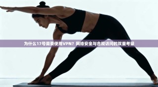 为什么17号需要使用VPN？网络安全与合规访问的双重考量