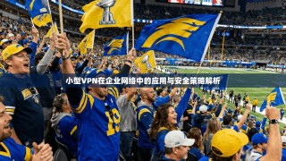 小型VPN在企业网络中的应用与安全策略解析
