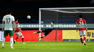 移动VPN免流技术揭秘，原理、风险与合规使用指南