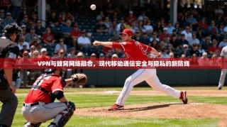 VPN与蜂窝网络融合，现代移动通信安全与隐私的新防线