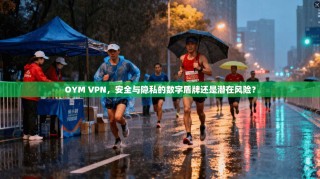 OYM VPN，安全与隐私的数字盾牌还是潜在风险？