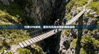付费VPN游戏，便利与风险并存的网络选择