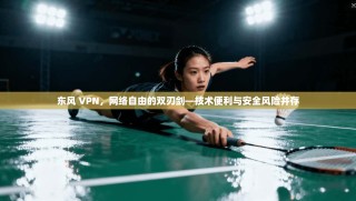 东风 VPN，网络自由的双刃剑—技术便利与安全风险并存