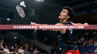 从小白兔到网络高手，新手如何安全高效地使用VPN入门指南