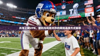 共享上网VPN，便利与风险并存的网络连接方式解析