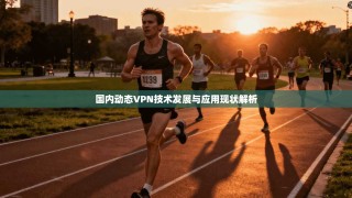 国内动态VPN技术发展与应用现状解析