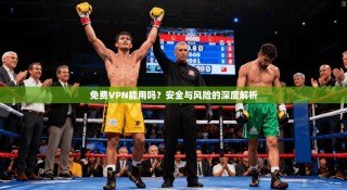 免费VPN能用吗？安全与风险的深度解析