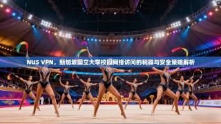 NUS VPN，新加坡国立大学校园网络访问的利器与安全策略解析