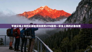 苹果设备上如何正确配置和使用VPN服务—安全上网的必备指南