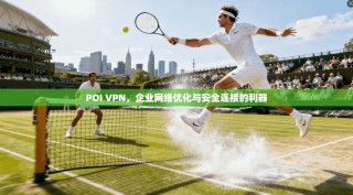 POI VPN，企业网络优化与安全连接的利器