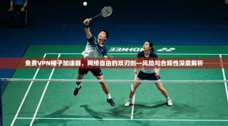 免费VPN梯子加速器，网络自由的双刃剑—风险与合规性深度解析