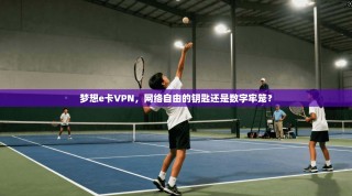 梦想e卡VPN，网络自由的钥匙还是数字牢笼？