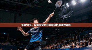 坐末VPN，网络安全与合规使用的重要性解析