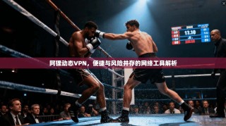 阿狸动态VPN，便捷与风险并存的网络工具解析