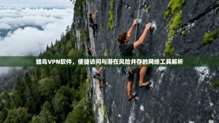蜂鸟VPN软件，便捷访问与潜在风险并存的网络工具解析