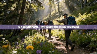 深入解析NS VPN，企业级网络加密与远程访问的利器