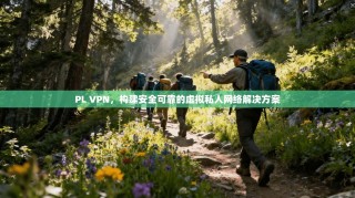 PL VPN，构建安全可靠的虚拟私人网络解决方案