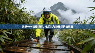 海豚VPN价格详解，性价比与隐私保护的权衡