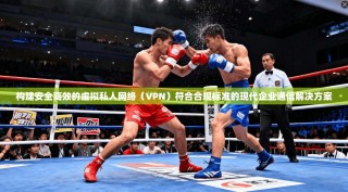 构建安全高效的虚拟私人网络（VPN）符合合规标准的现代企业通信解决方案