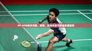 PP-VPN技术详解，原理、应用场景与未来发展趋势