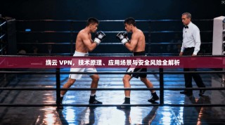 绕云 VPN，技术原理、应用场景与安全风险全解析