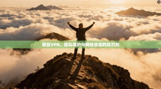 萌丝VPN，隐私保护与网络自由的双刃剑