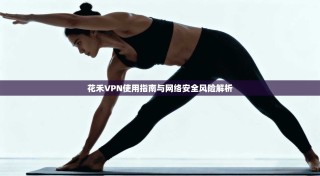 花禾VPN使用指南与网络安全风险解析